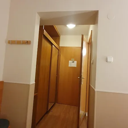 堡罗什酒店 3* 杰尔